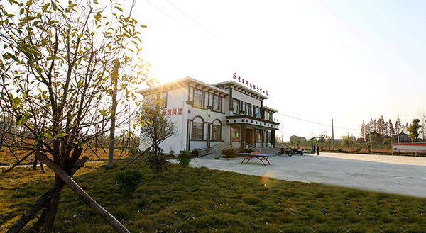 建筑工程-附属工程建设